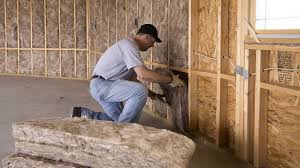 Best Commercial Insulation Services  in Loch Lomond, VA